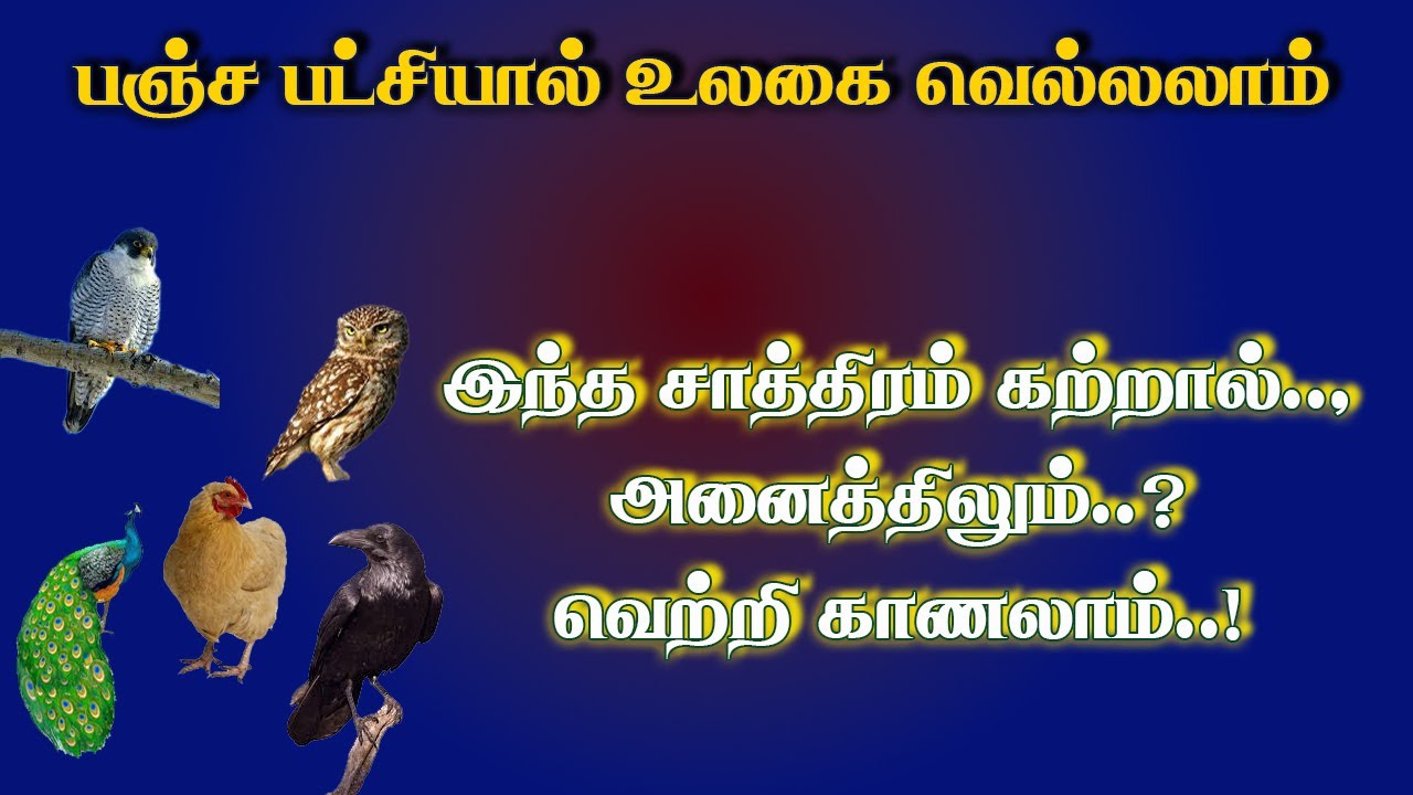 பஞ்சபட்சி.1-வாழ்வில் வெல்ல வைக்கும் பஞ்ச பட்சி சாத்திரம்