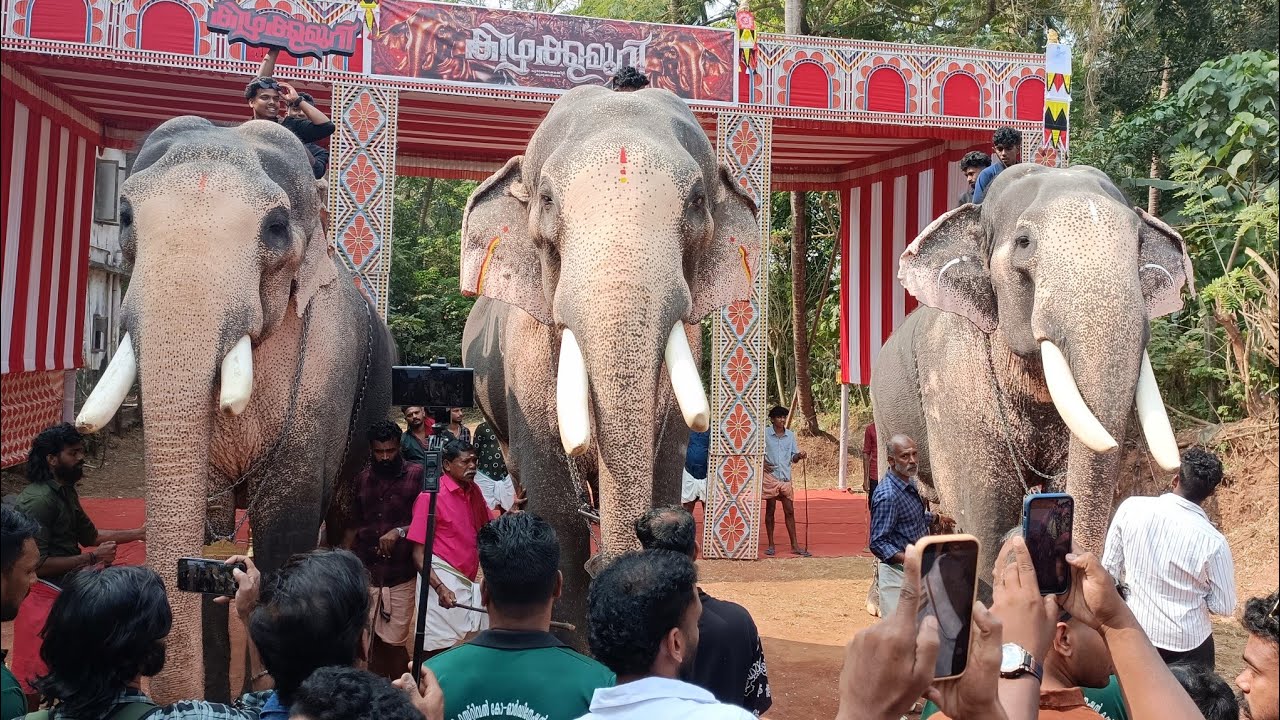 തീപ്പൊരി കോമ്പോ 💥രാമരാജാവും സാധുവും അർജുനനും 💥Kavilakkad pooram | Thechikkottukavu Ramachandran 