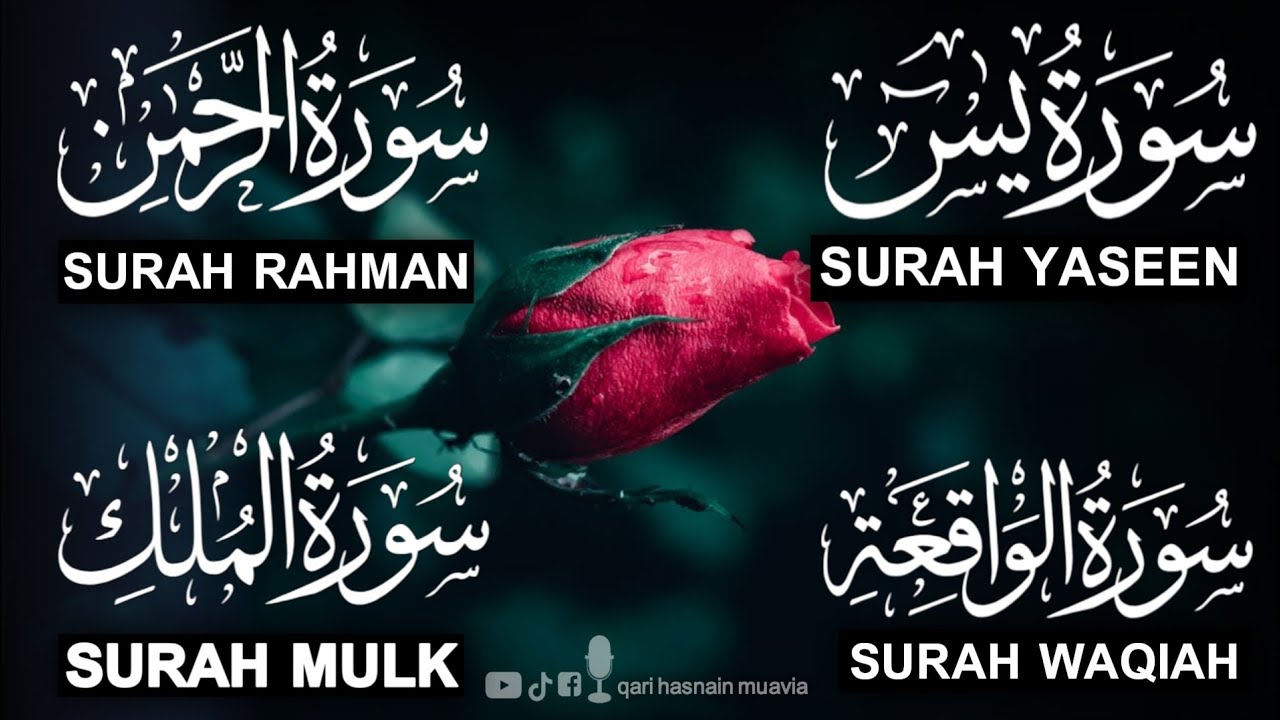 Surah Yasin ❤️ (Makki), Rahman, Waqiah & Mulk | Ep 320 | Daily Quran Recitation & Blessings