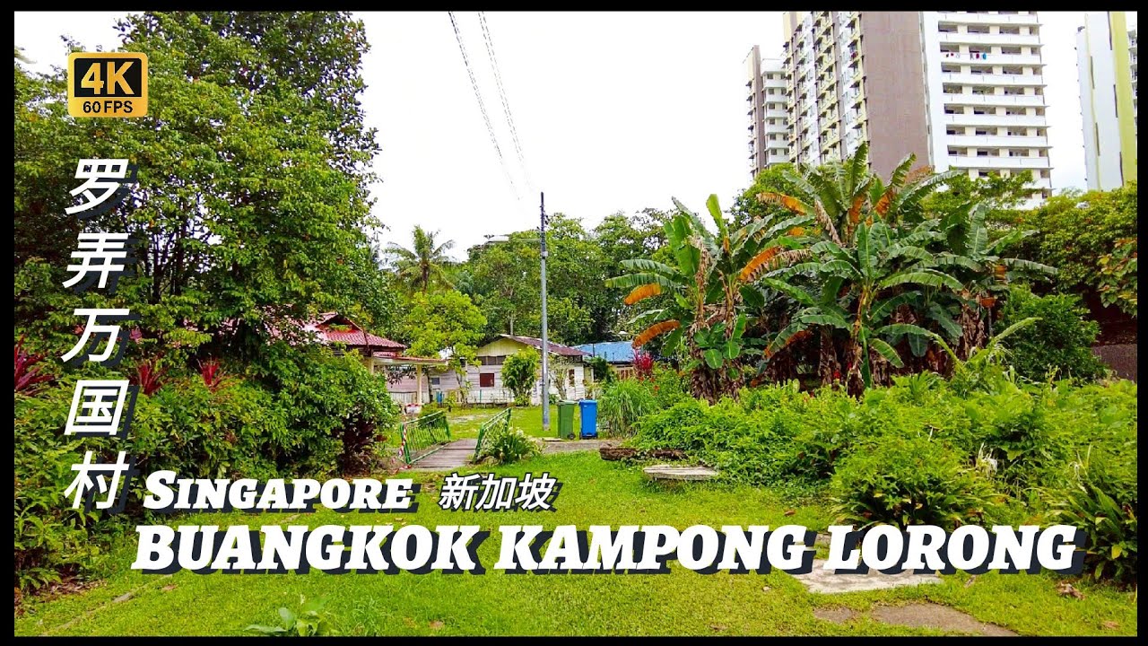 A Singapore Time Capsule | Kampong Lorong Buangkok | 4K 60fps