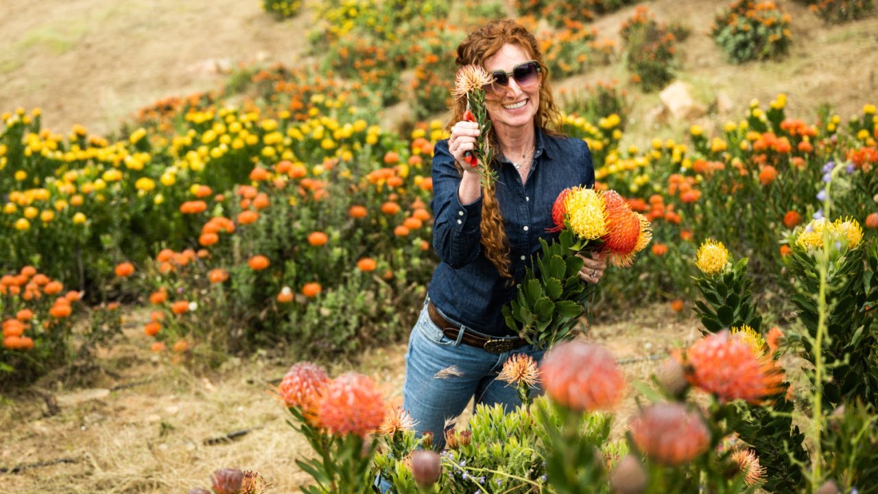 Resendiz Brothers Protea Growers: This California Flower Farmer Grows Exotic-Looking Blooms
