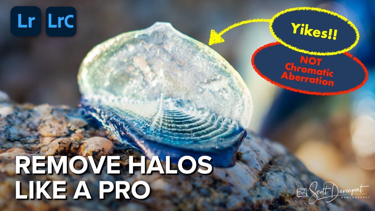 Remove Halos Like A Pro In Lightroom