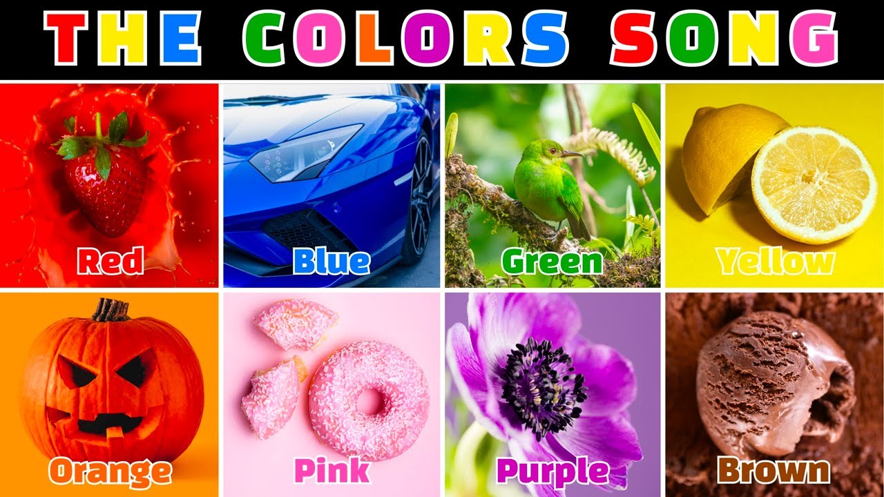 The Colors Song | A Fun Nursery Rhyme for Kids | Learn Colors