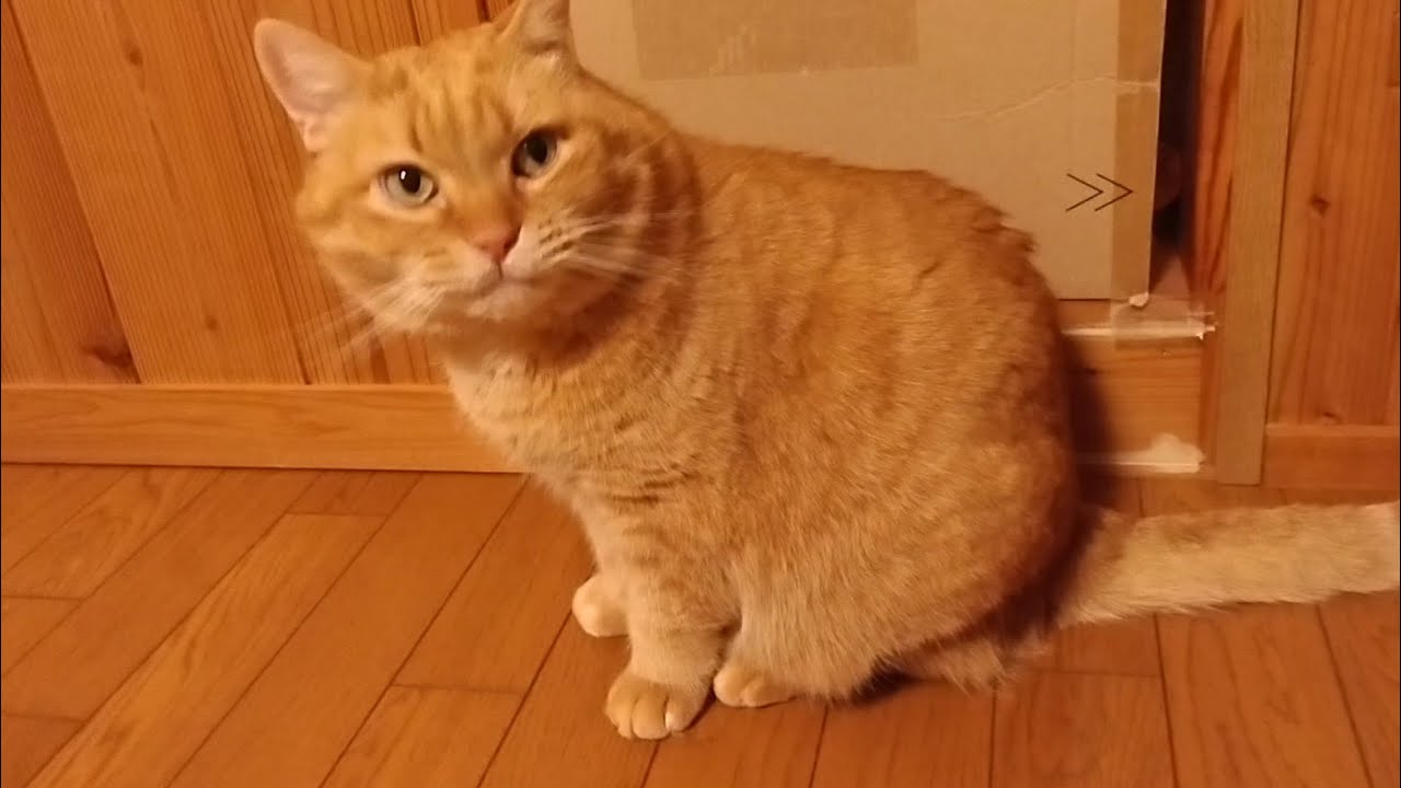 ゆっくり顔を洗う、ただそれだけの時間