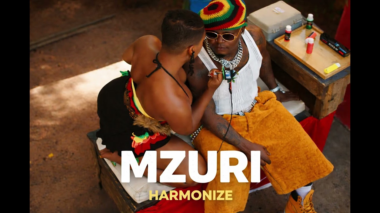 Harmonize _ Mzuri (Inspired Audio Ai Concept)