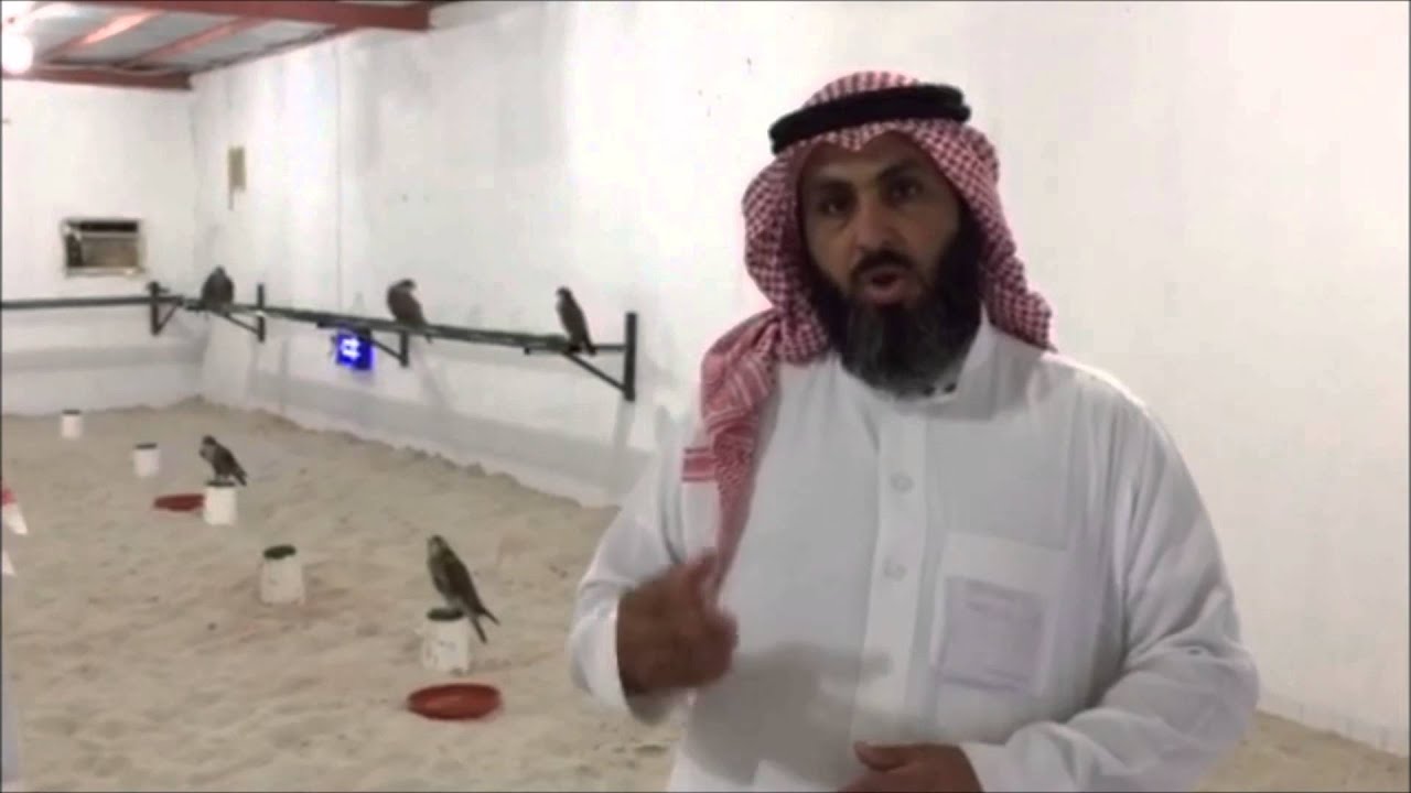 مربط / شجعان العصيمي محافظة الخرج المملكة العربية السعودية تطبيق الصقور