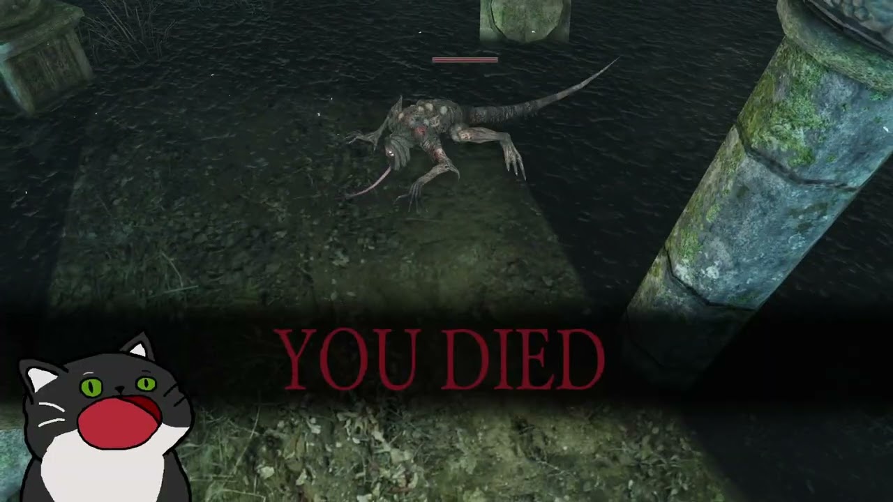 can a cat finish DS2? - almost there
