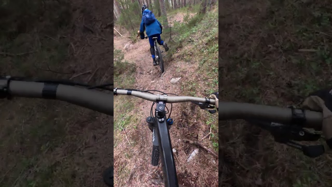 Øvre del av Funky - andre runde i Sperreskogen med Hugin.