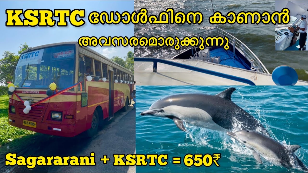 155KM KSRTC+ 3 Hours Sagararani=650rs|ഡോൾഫിനെ കാണാൻ സുവർണാവസരം|KSRTC Kadal Yathra|Travelappan|Part-2