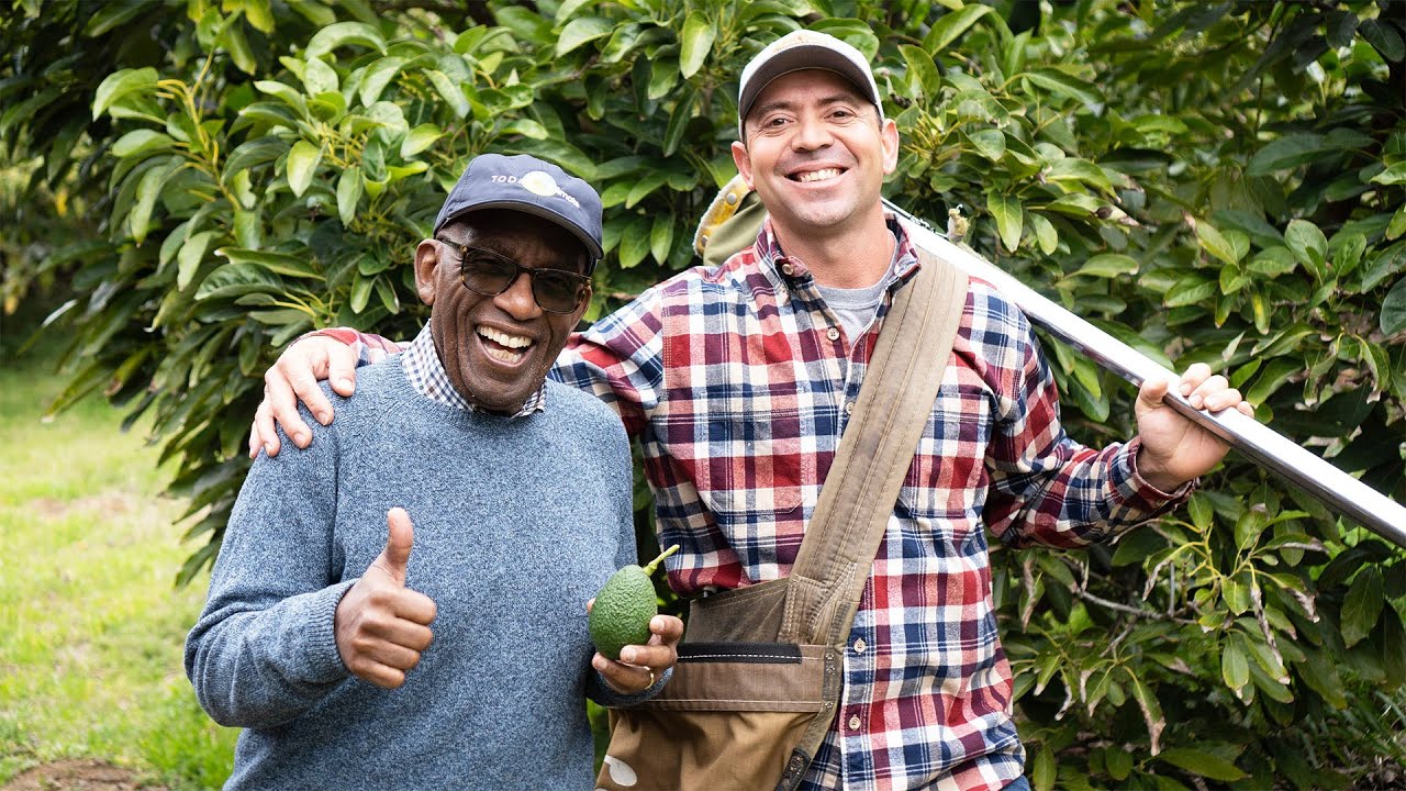 How a California avocado conquered the globe | Family Style
