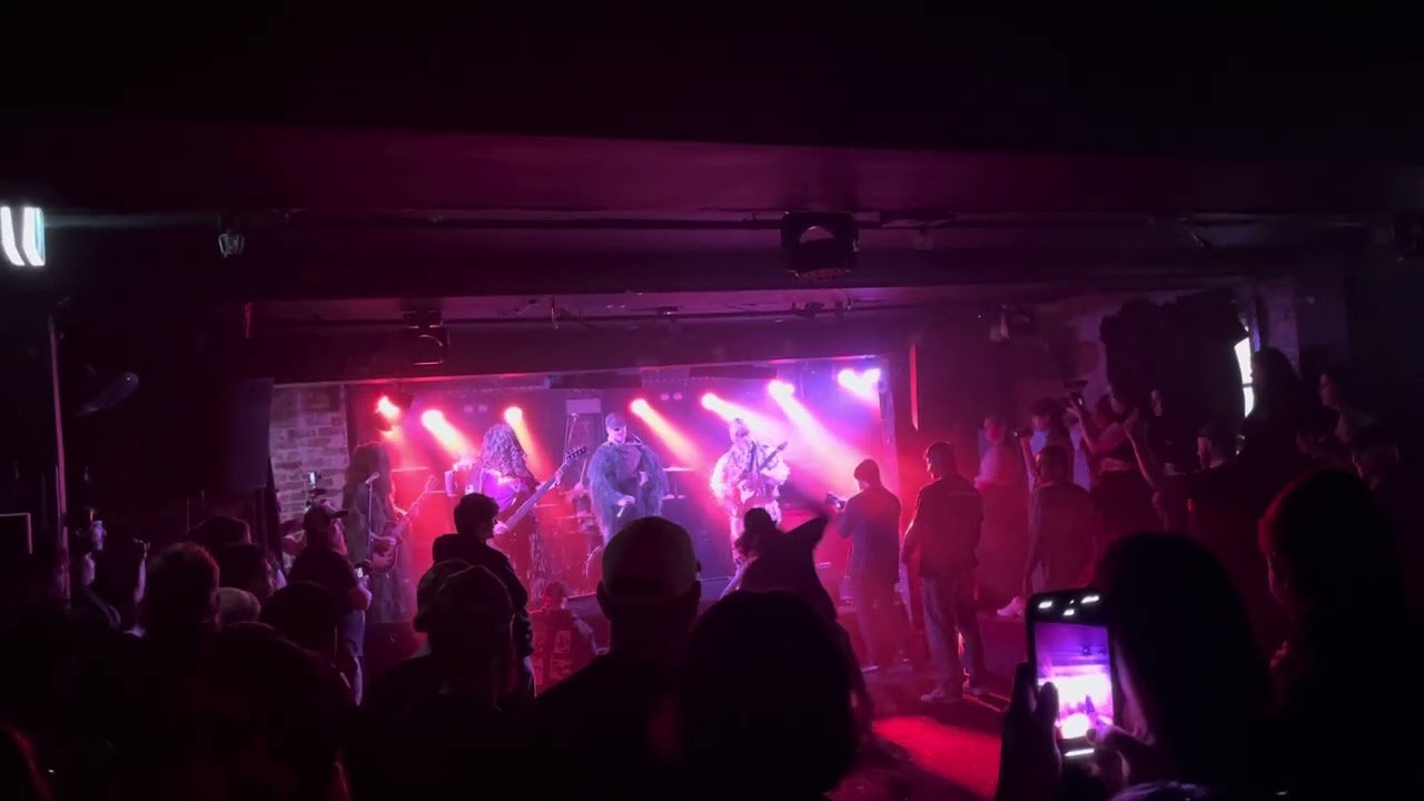 Solum at WellFed Fest 2024