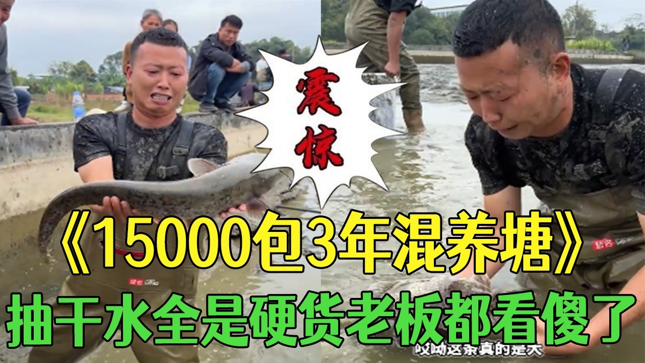 花15000塊包3年混養塘，抽幹水全是硬貨老板都看傻了 #小飛哥#三農 #鄉村守護人 #鄉村生活#新農人計劃2026
