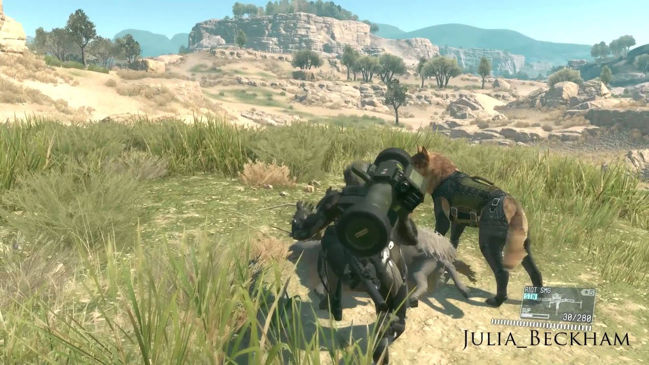 [MGS:V] Location Of All Animals In Afghanistan | Conservation