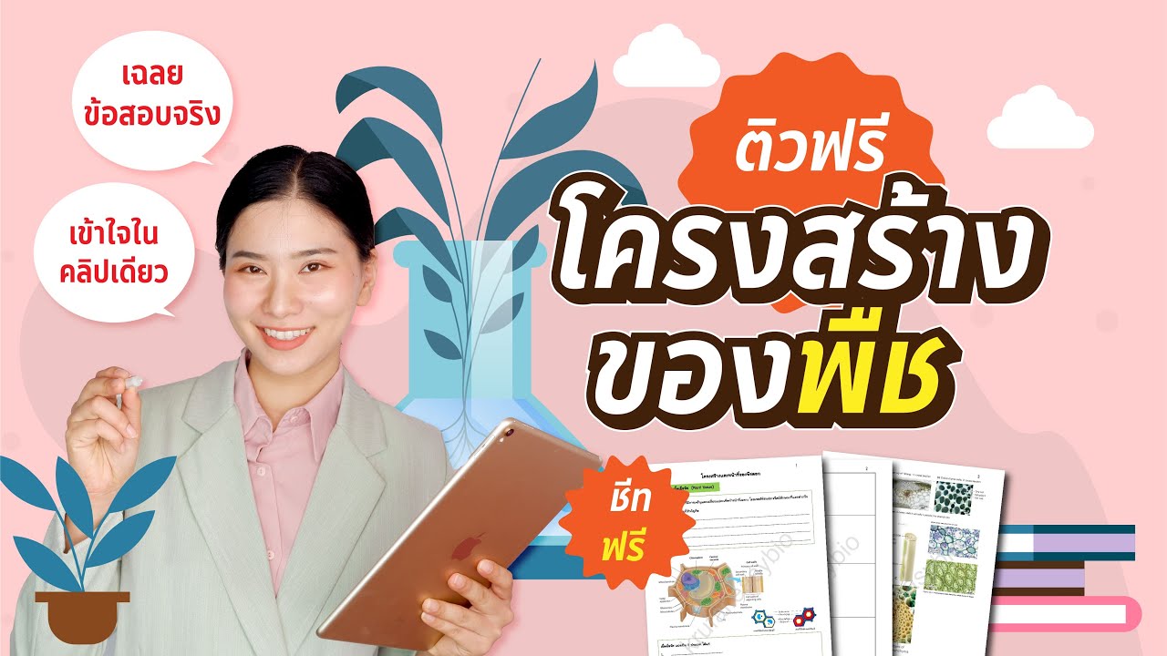 ติวฟรี ชีทฟรี โครงสร้างของพืช ชีวะครูฝ้าย