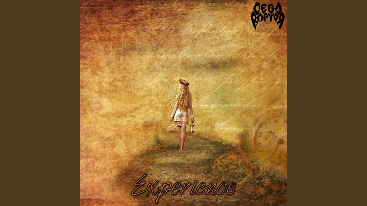 Experience