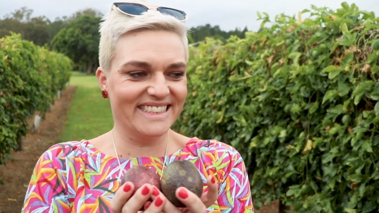Passionfruit picking adventure trip in Queensland, Australia