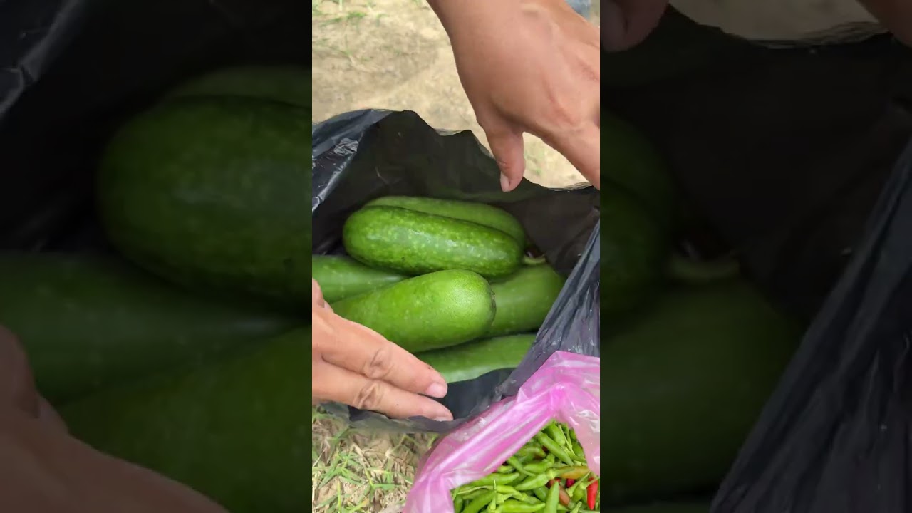 ម្ហូបបែបស្រុកស្រែសាមញ្ញៗ តែឆ្ងាញ់សាហាវ