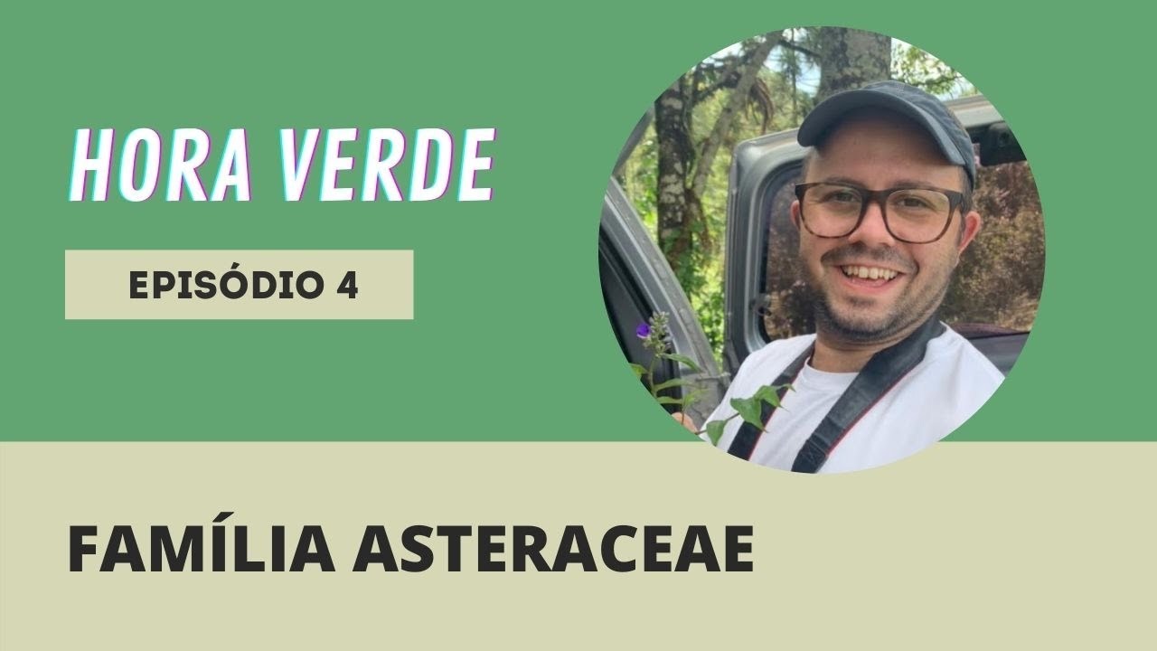 DESMISTIFICANDO ASTERACEAE: INTRODUÇÃO SOBRE A SUA DIVERSIDADE #HORAVERDE