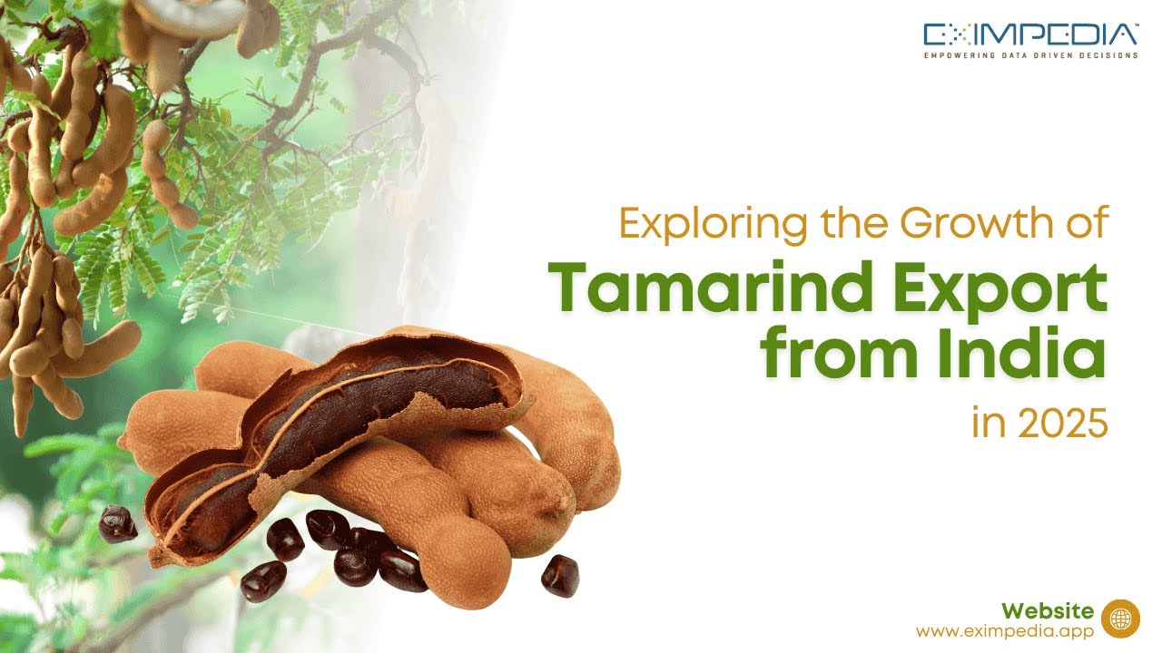 Exploring the Growth of Tamarind Export from India in 2025