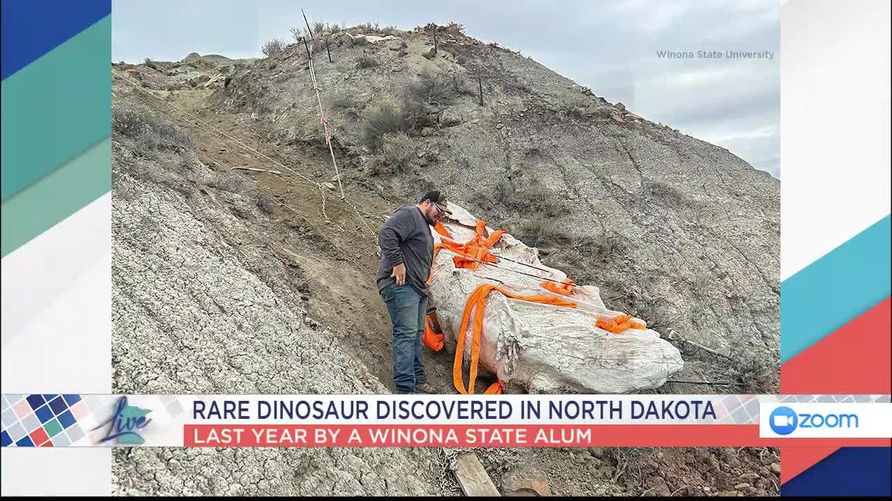 Dinosaur Mummy