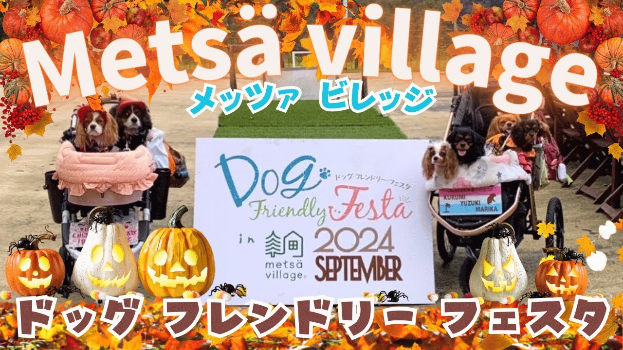 【メッツァビレッジ】ドッグフレンドリーフェスタ2024でハロウィン🎃を大満喫‼️🍁🍂