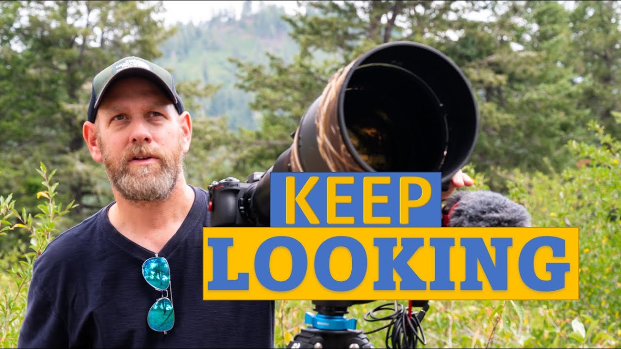 BIRD PHOTOGRAPHY. This is a beautiful lifelong hobby. Enjoy the adventure!