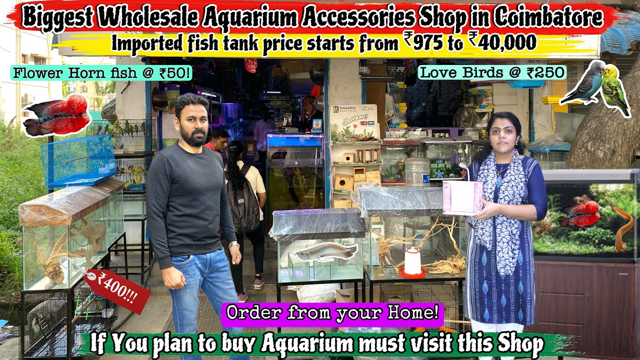 Best Wholesale Shop to buy Aquarium Accessories in Coimbatore | New Golden Aquarium