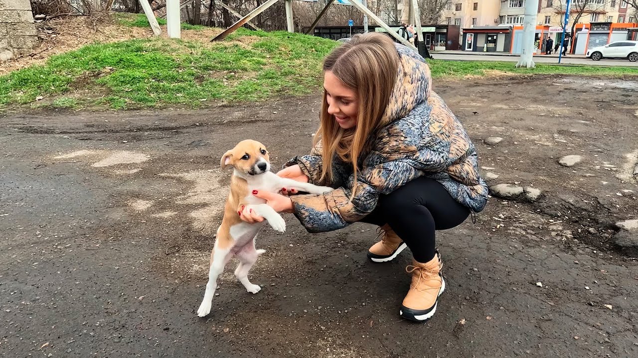 Watch the Moment Tiny Puppy Realises She&rsquo;s Being Rescued&hellip;