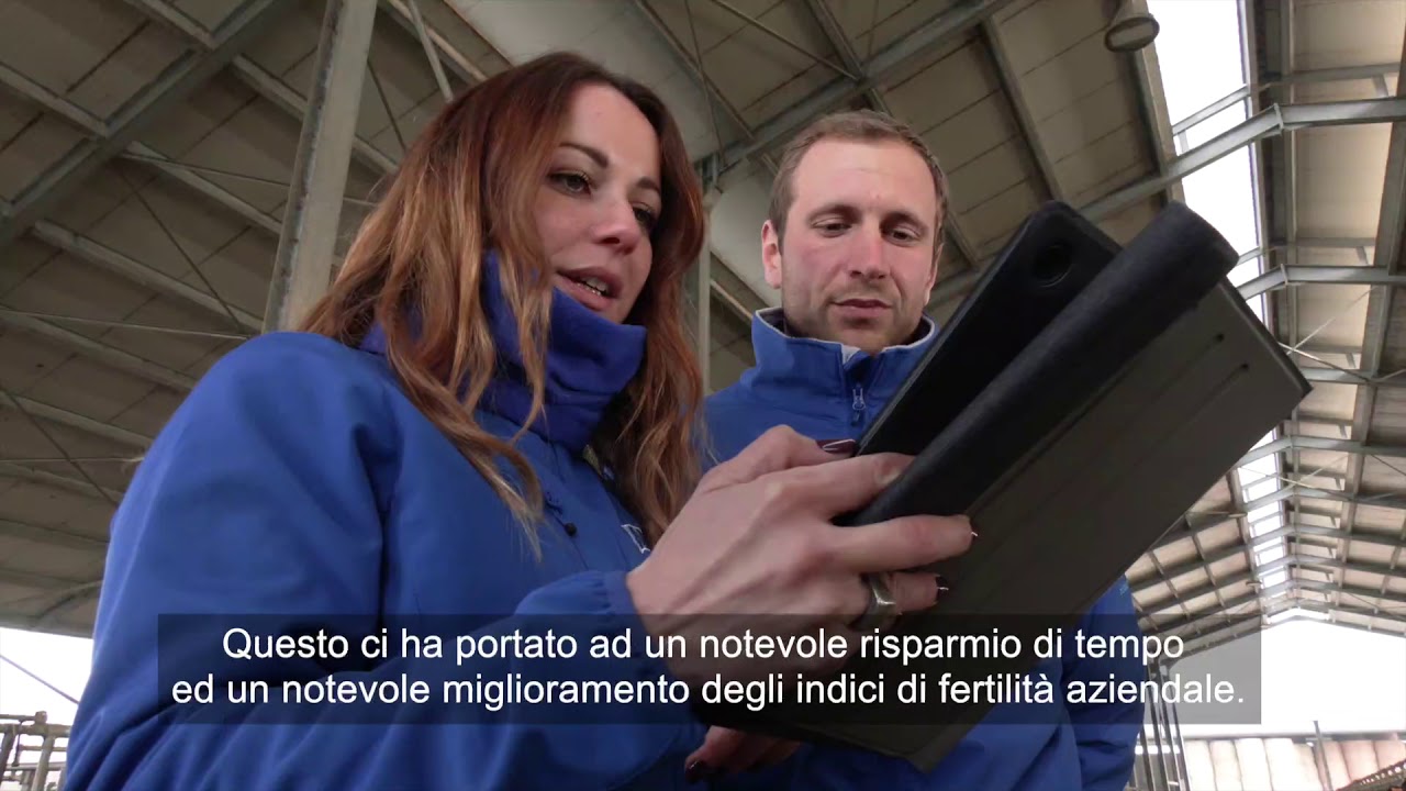 Allflex SenseHub in the Ciaolatte Agricultural Company, Parma Province, Italy  - Italian Subtitles