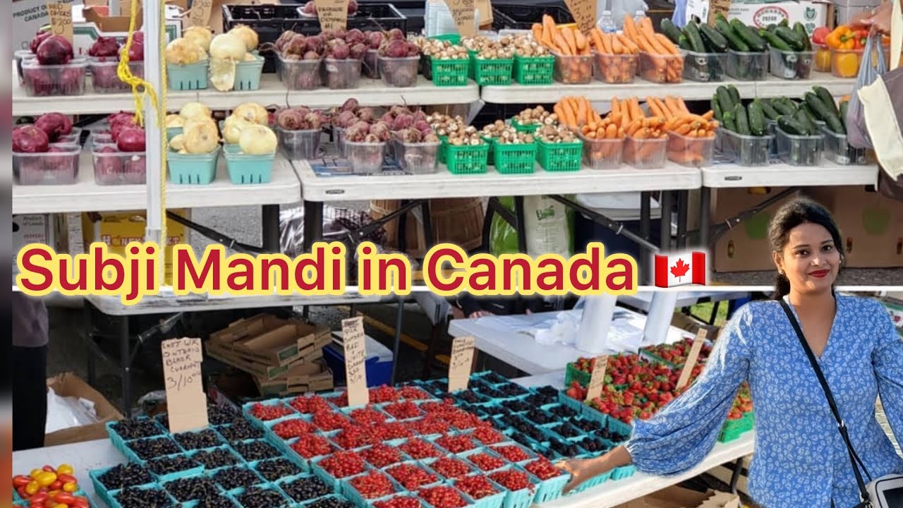 Lion’s Farmers Market, Mississauga 🥦 | Desi Subzi Mandi Experience with Fresh Vegetables & Fruits🍎🥗 