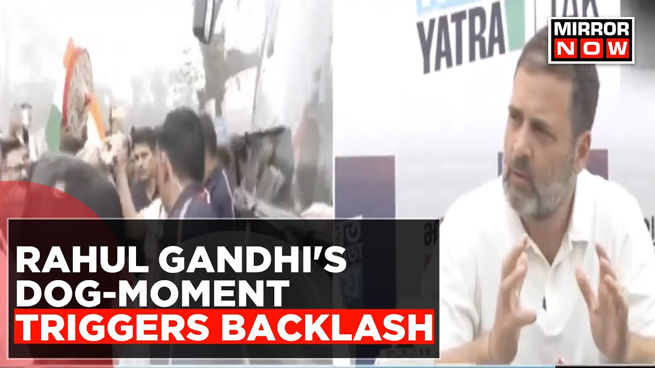 Rahul Gandhi's Dog-Moment Triggers Backlash; Leader Offers Same Biscuit To Dog And Its Owner