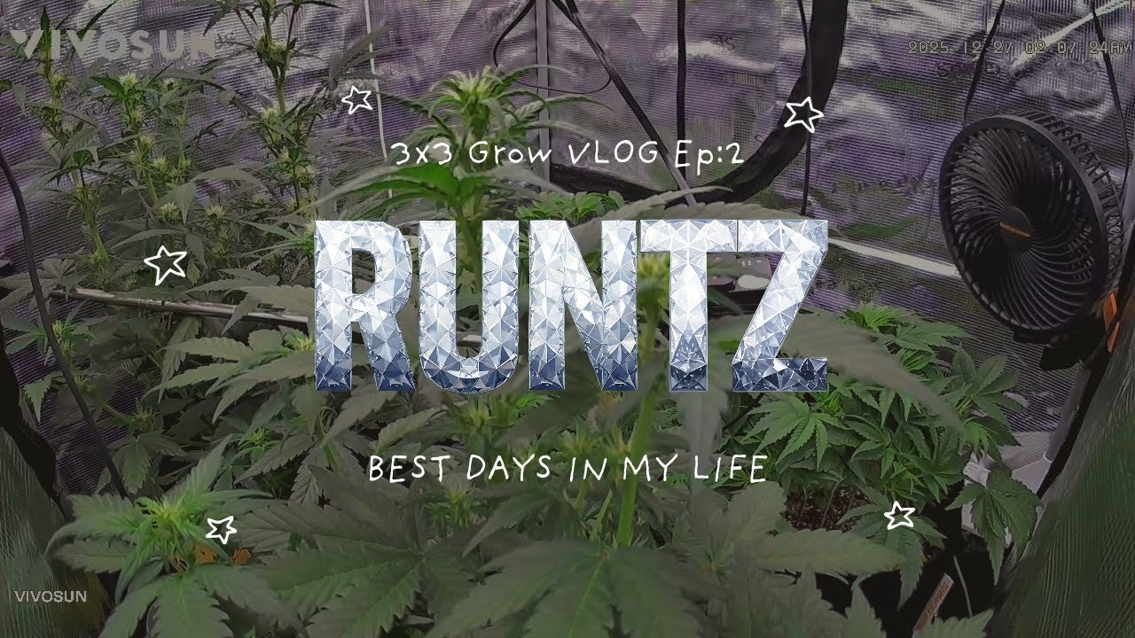 3X3 Grow Tent Ep:2 RUNTZ @SpiderFarmer @Vivosun @AnkerSOLIX
