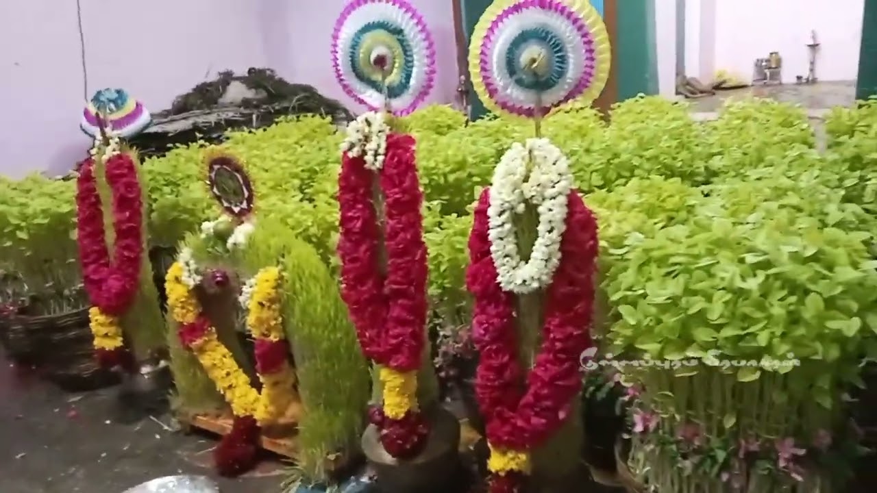 குள்ளப்புரம் ஸ்ரீ கௌமாரியம்மன் திருக்கோவில் உற்சவ திருவிழா -2024