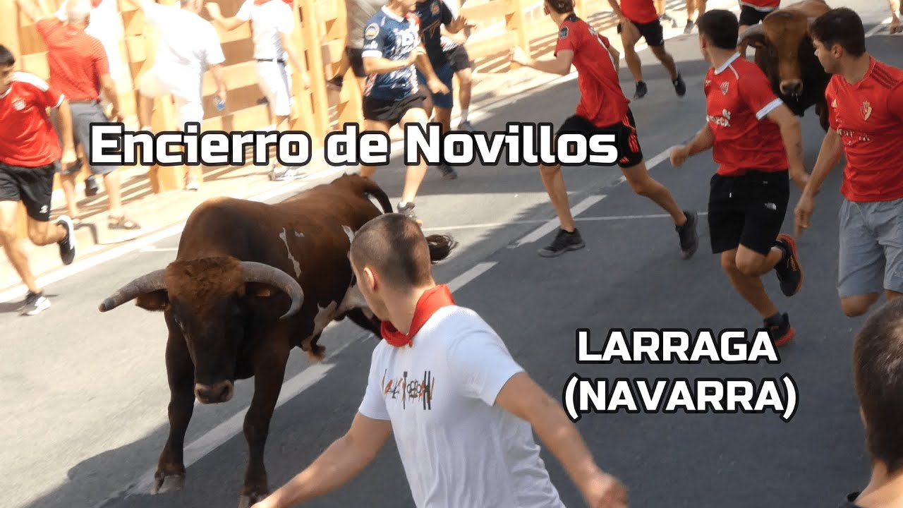 Larraga encierro novillos 2025 #larragafiestas2025 #larragavaquillas #larragaencierro