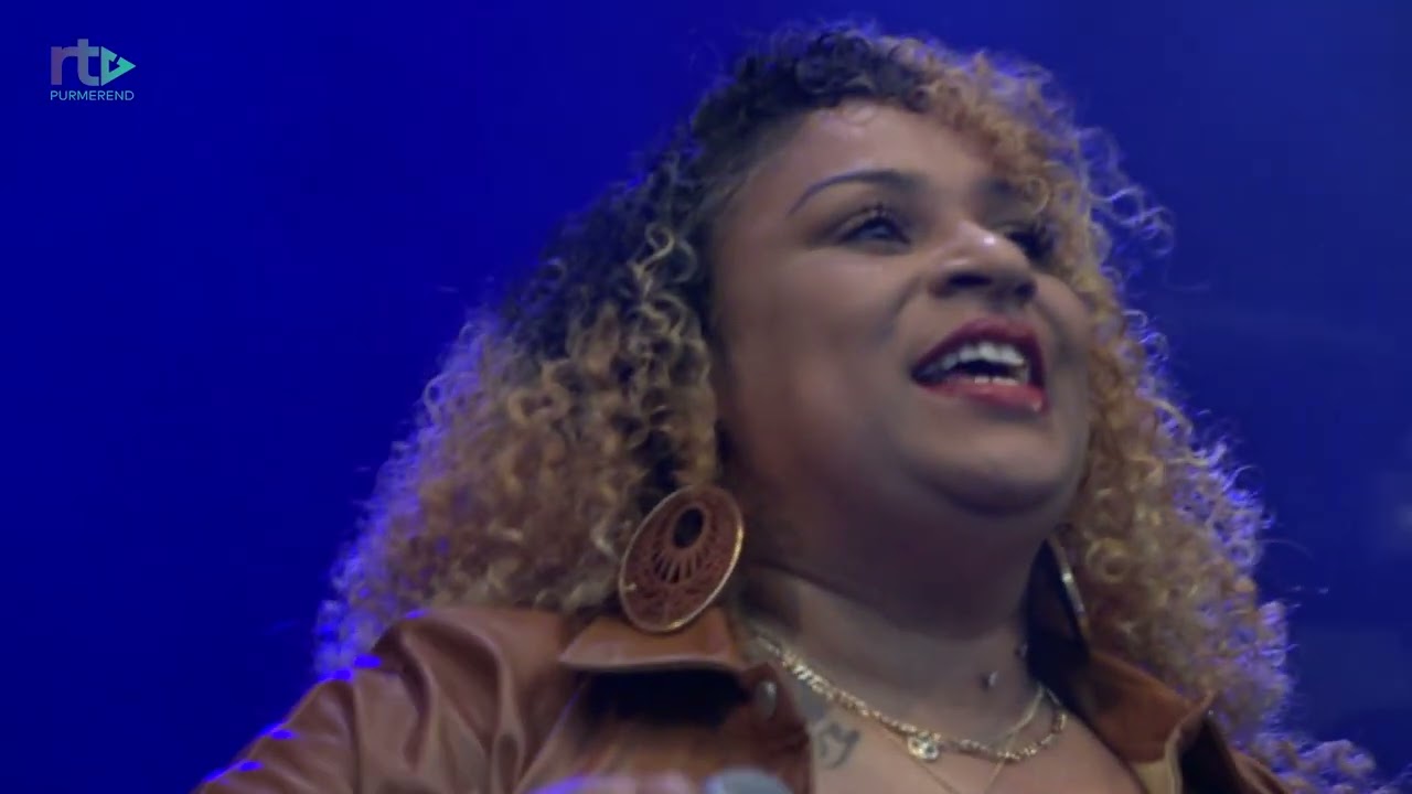 LIVE: Stevie Wonder Tribute - Master Blaster Jammin'