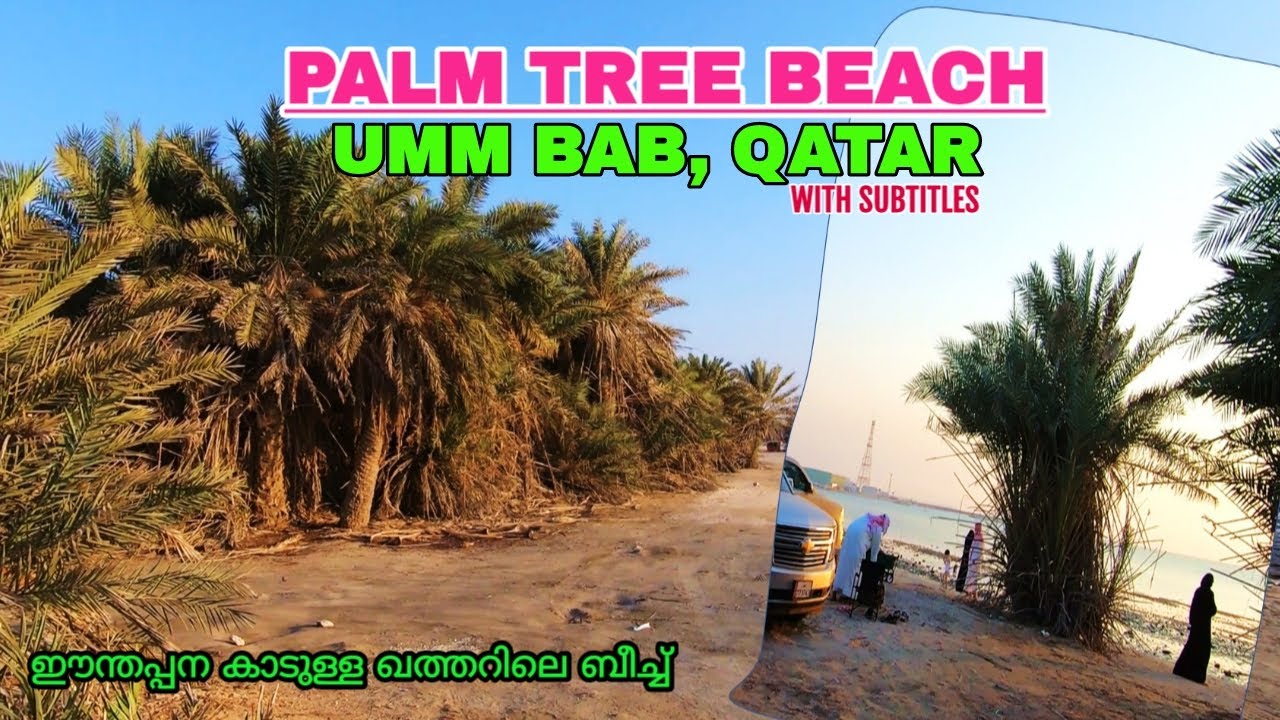 Umm Bab Beach Qatar or Palm Tree Beach... Nice Qatar Beach around 80 KM West of Doha.