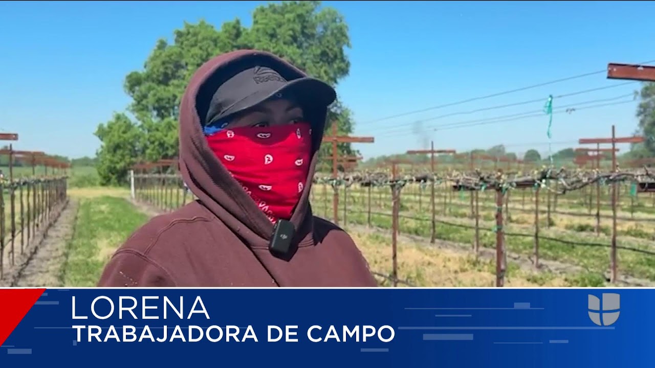 🔴 En Vivo | Supuestas acusaciones  de abuso sexual contra César Chávez  | 12:30  PM | 03.18.26|