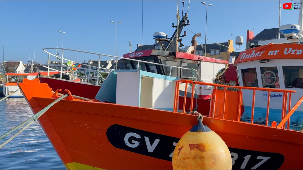FINISTÈRE  🇲🇫   |  Le Port du Guilvinec en Hiver    |  Polynésie Bretagne Télé