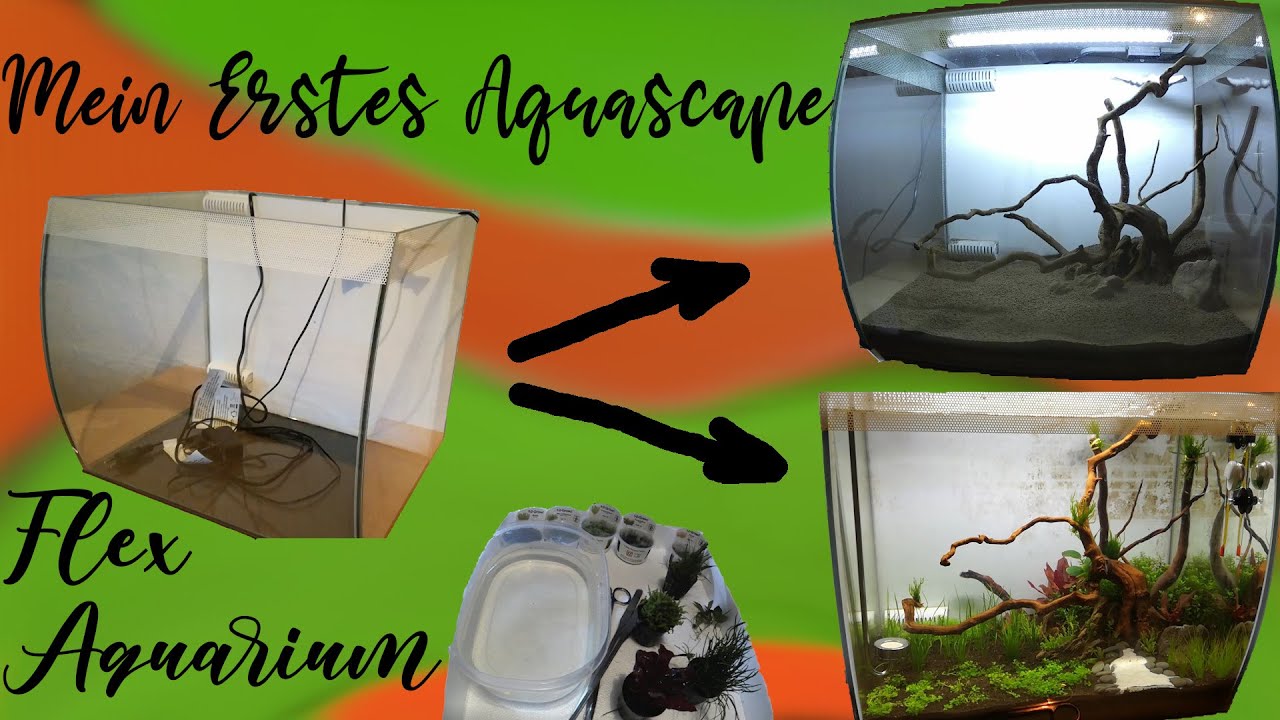 Aquascaping 