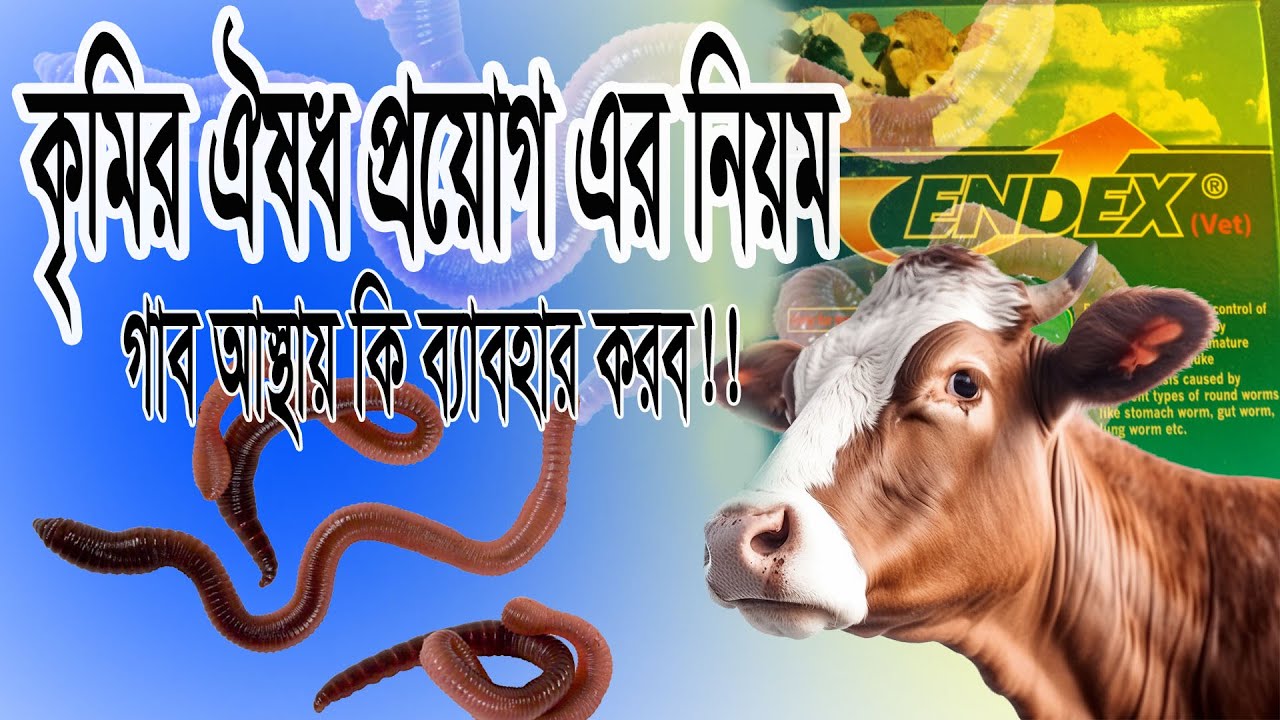 Endex Vet. Animal Health Care Bangla