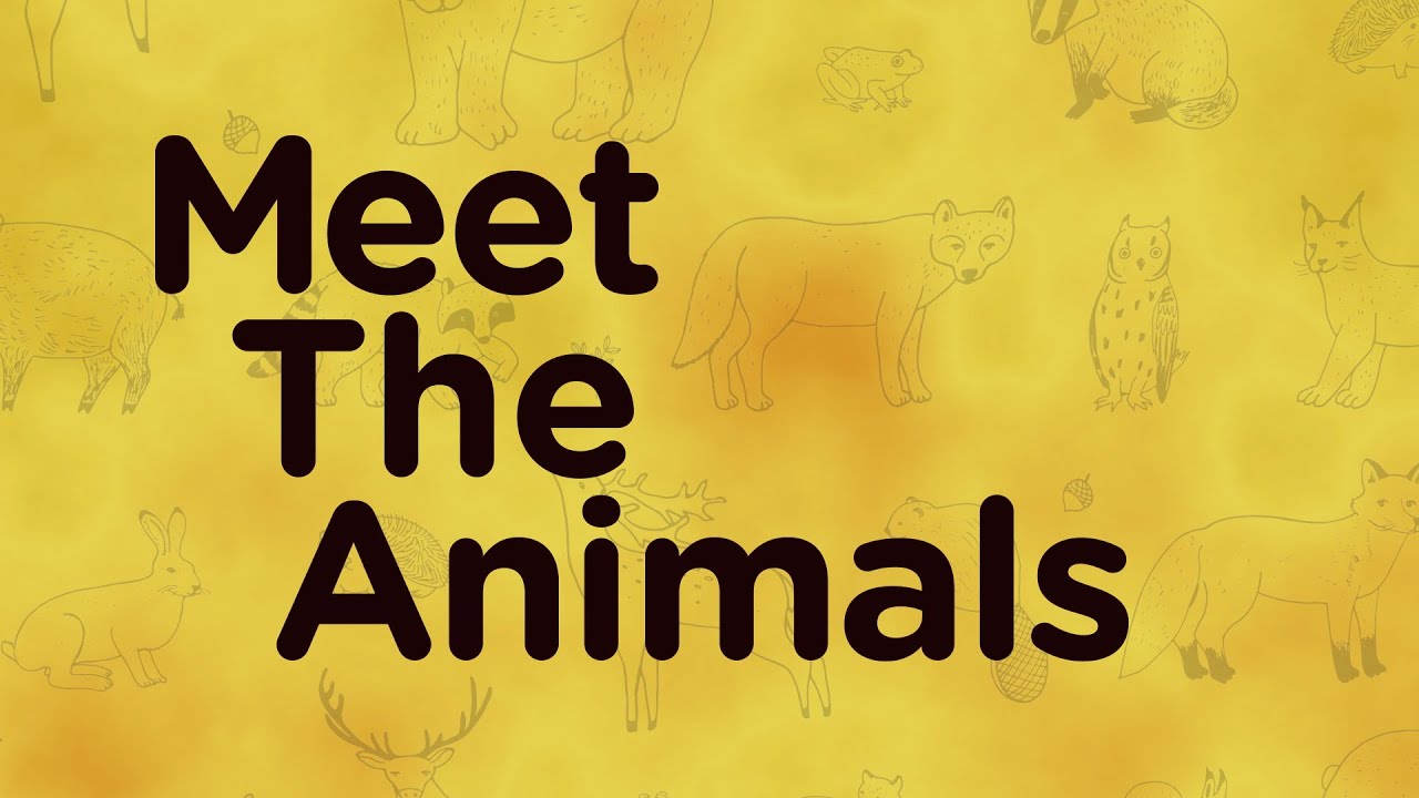 Rockville 11: Meet the Animals Special 1