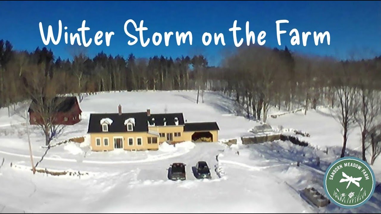 Major WInter Storm Blankets the Farm With a Foot of Snow!