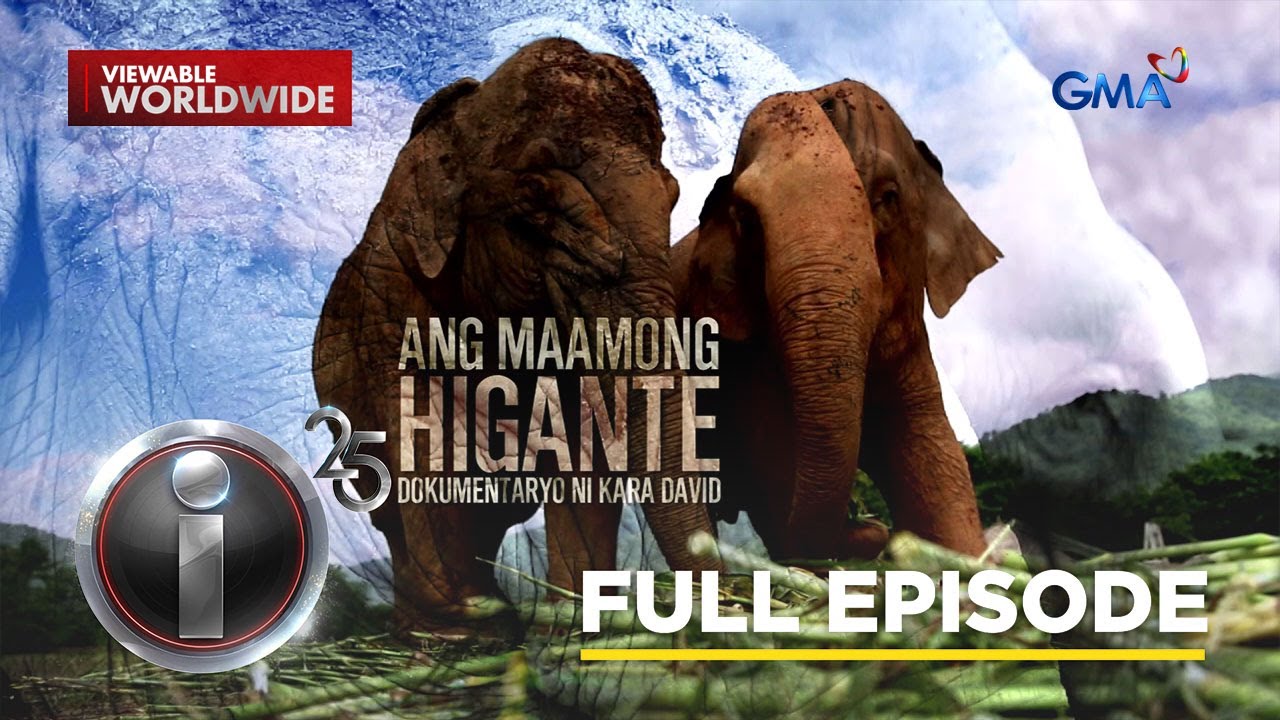 ‘Ang Maamong Higante,’ dokumentaryo ni Kara David (Full Episode) | I-Witness