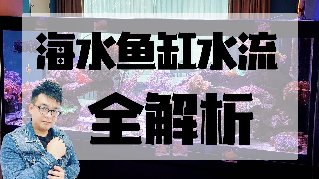 海水鱼缸水流全解析    |  【小马说水族】  （如何计算鱼缸水量，如何选择水泵，水泵安装有什么细节，如何选择造浪泵，水流的重要性）