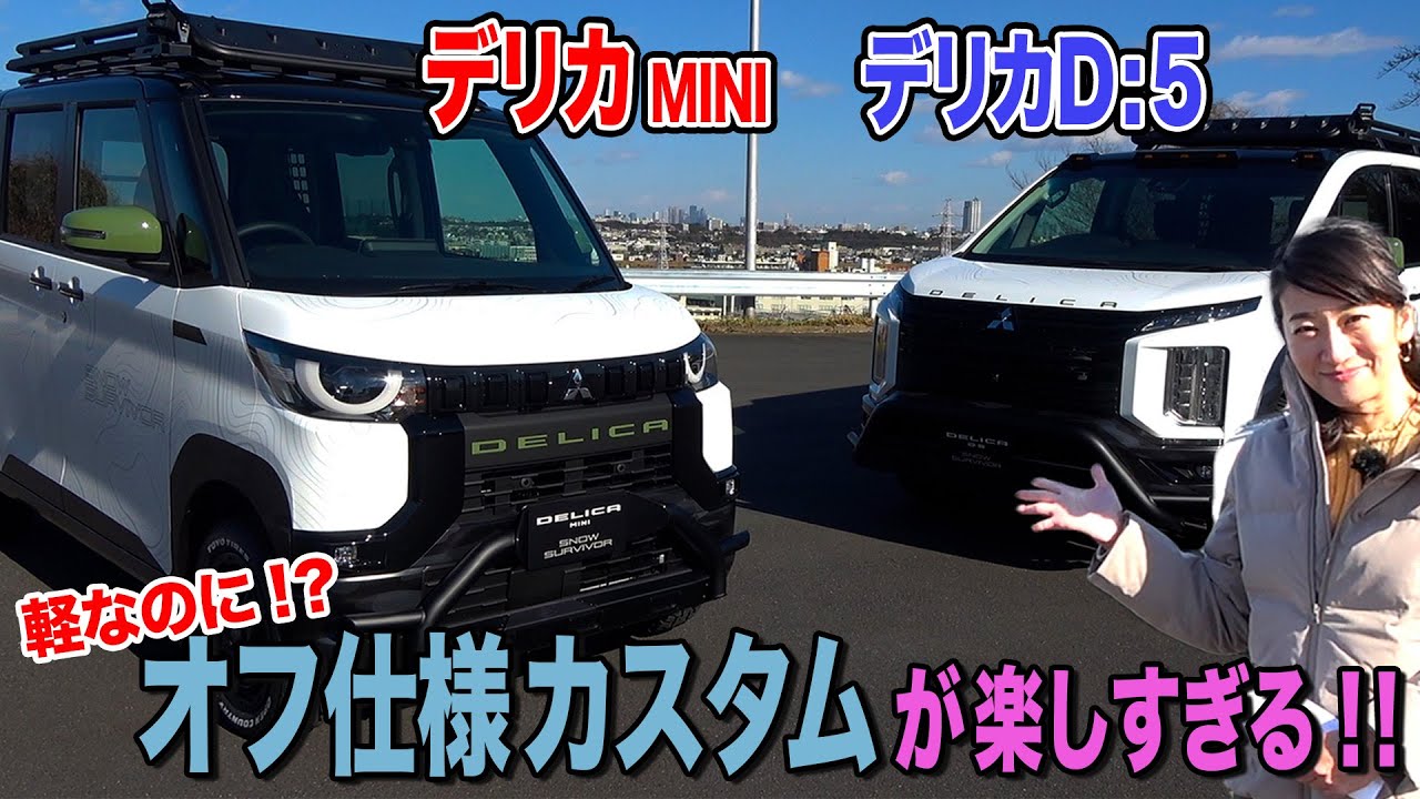 【兄貴とおそろ】デリカミニを楽しくカスタマイズしてみました【藤トモCHECK】