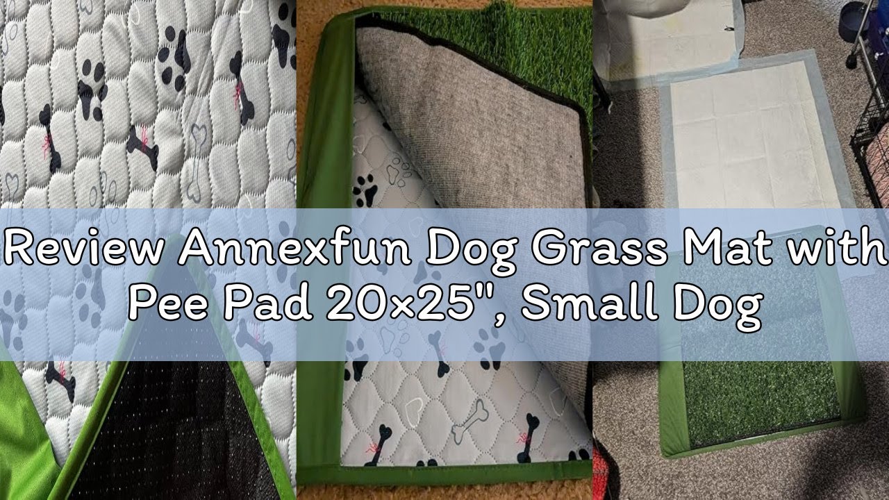 Review Annexfun Dog Grass Mat with Pee Pad 20×25", Small Dog Litter Box Indoor Artificial Turf Grass