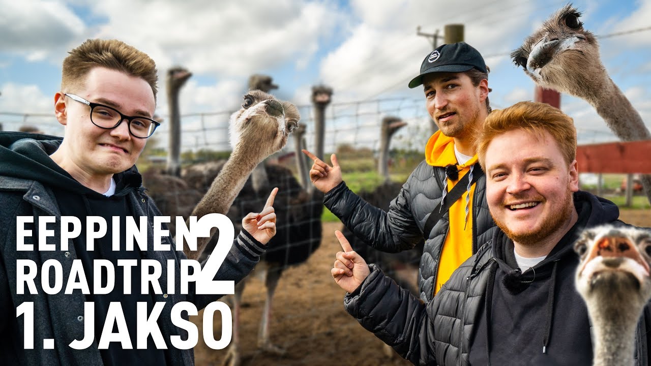 Strutseja ja vetyjä! - #1 EEPPINEN ROADTRIP 2