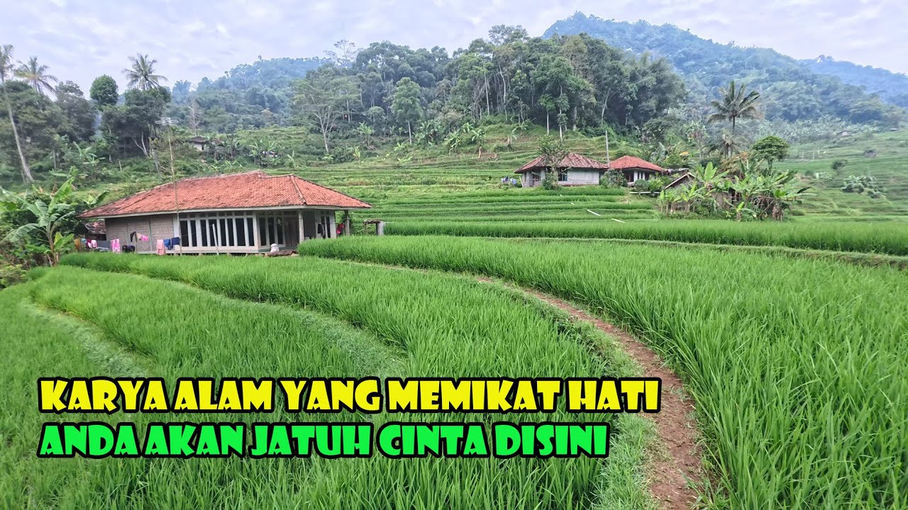 Paduan Alam Yang Indah Dengan Rumah Panggung Khas sunda. Menghasilkan Karya Alam Yang Exotis