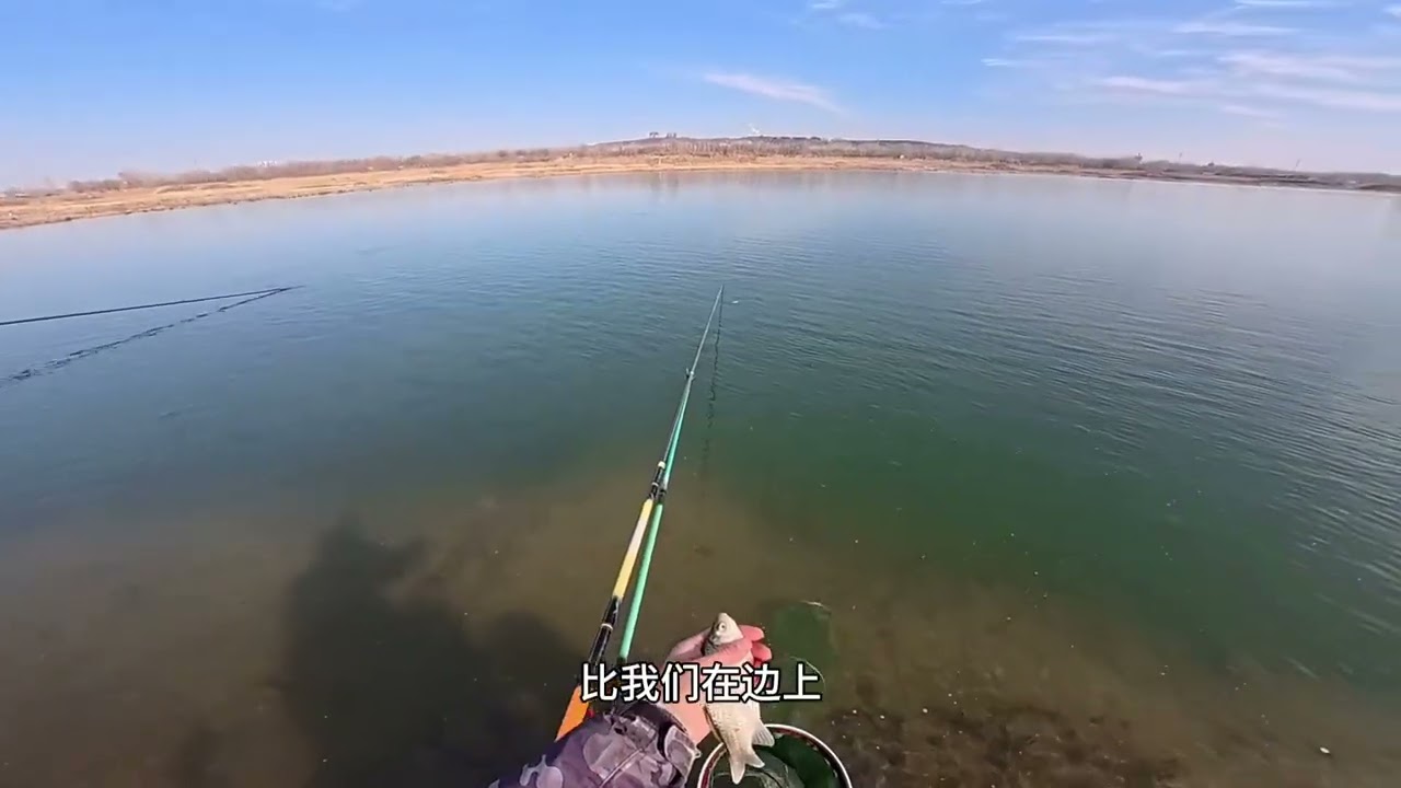 野钓鲫鱼实战记录 #野钓鲫鱼 #钓鱼王地狱猫 #钓鱼王霸王悍 #野钓