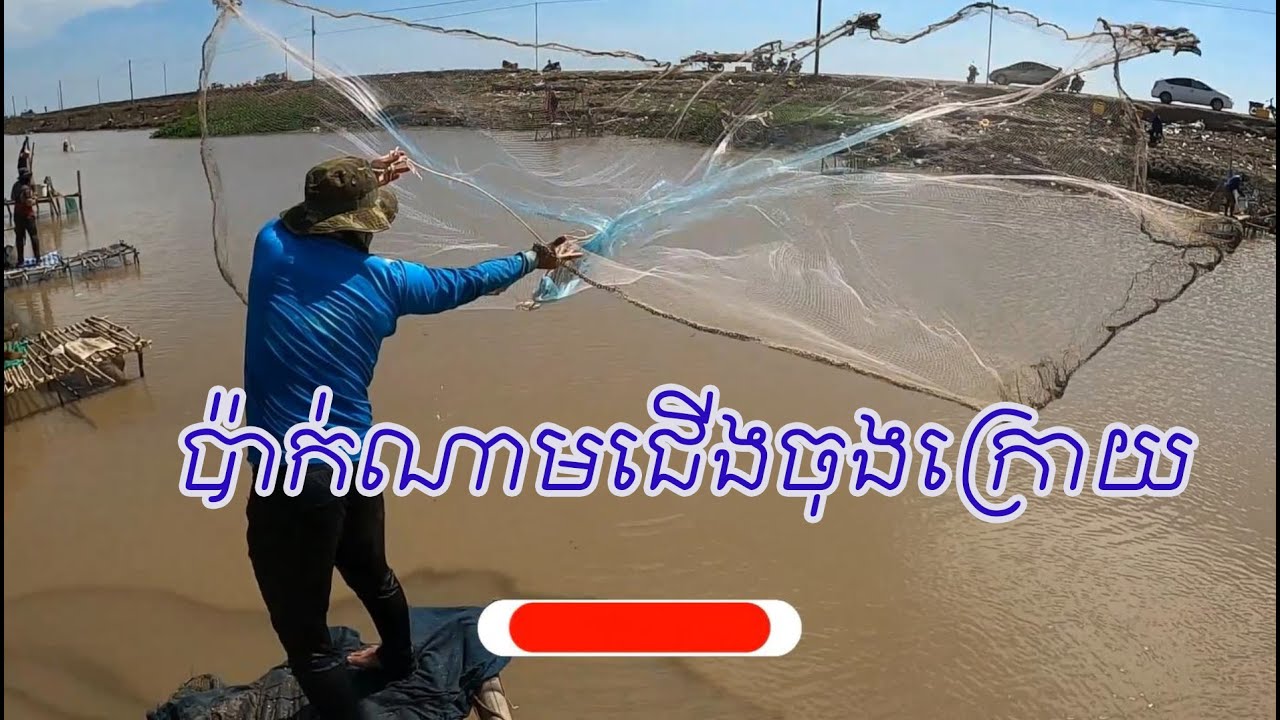 ប៉ាក់ណាមជើងចុងក្រោយ ត្រីនៅមានលេងតែ ត្រីតូច Amazing Traditional Cast Net Fishing 2025 | #758